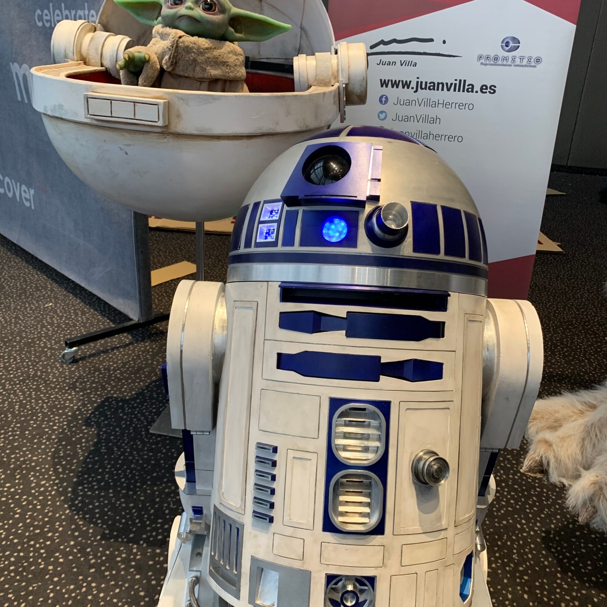 Fiesta Fan – Skywalker Fan Experience&nbsp;2019